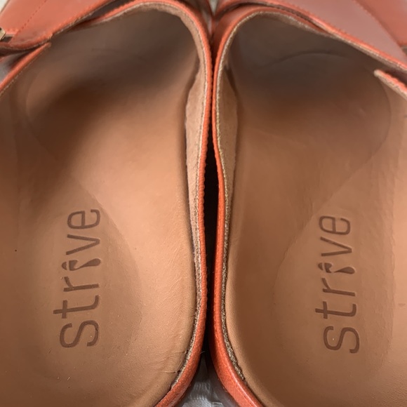 STRIVE - Picture 5 of 6